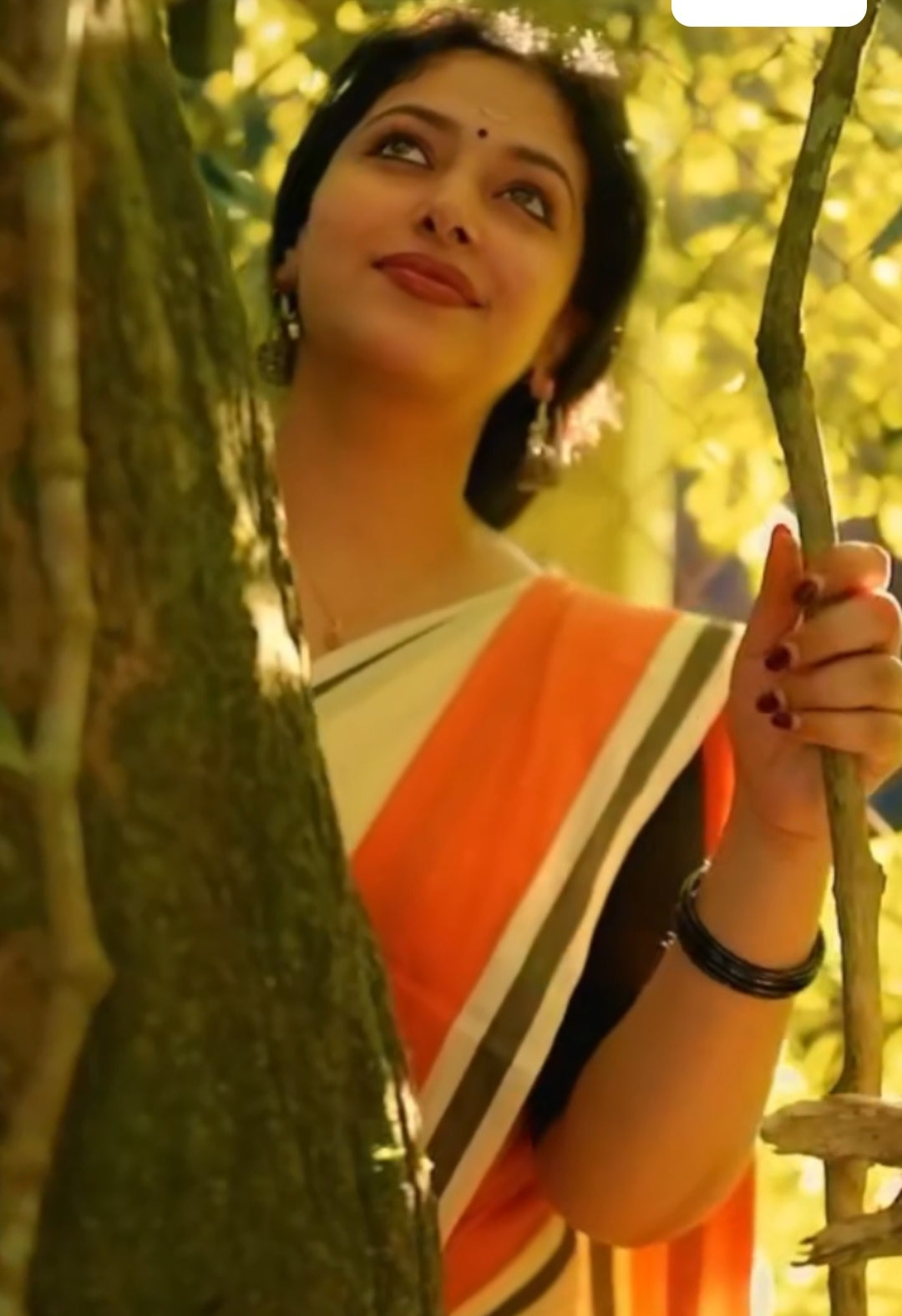 Mul-cotton Saree